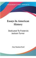 Essays In American History