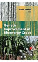 Genetic Improvement of Bioenergy Crops