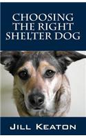 Choosing the Right Shelter Dog