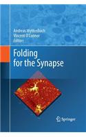 Folding for the Synapse