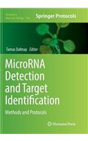 Microrna Detection and Target Identification