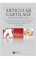 Articular Cartilage