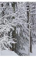 Winter Journal Beautiful Forest: (Notebook, Diary, Blank Book)(Seasonal Winter Photo Journals Notebooks Diaries)