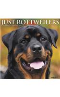 Just Rottweilers 2019 Wall Calendar (Dog Breed Calendar)