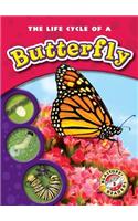 The Life Cycle of a Butterfly: (Life Cycles)