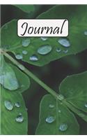 Journal
