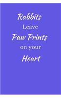 Rabbits Leave Paw Prints On Your Heart