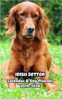 Irish Setter Calendar & Day Planner 2019-2020
