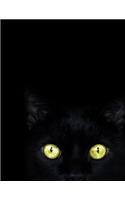 Black Paper Notebook: Black Cat Notebook Paper Book For Use With Gel Pens - Reverse Color Journal With Black Pages - Green Cat Eyes - College Ruled