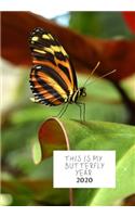 This Is My Butterfly Year: Diary 2020