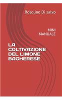 La Coltivazione del Limone Bagherese