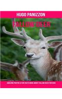 Fallow Deer