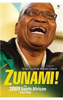 ZUNAMI! The 2009 South African election