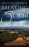 Breaking Storm