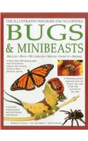 Illustrated Wildlife Encyclopedia: Bugs & Minibeasts