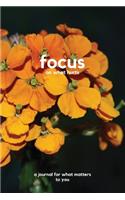 Focus on what hurts