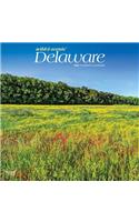 Delaware Wild & Scenic 2020 Square