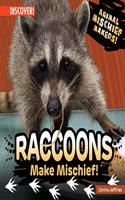 Raccoons Make Mischief!