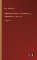Pony Rider Boys in New Mexico; Or, The End of the Silver Trail