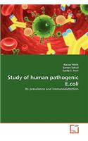 Study of human pathogenic E.coli