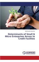 Determinants of Small & Micro Enterprises Access to Credit Facilities