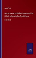 Geschichte der biblischen Literatur und des jüdisch-hellenistischen Schriftthums: Erster Band