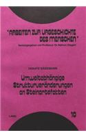 Umweltabhaengige Strukturveraenderungen an Steinartefakten