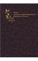 Обзор социально-революционного движения