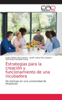Estrategias para la creación y funcionamiento de una incubadora