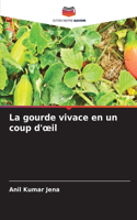 gourde vivace en un coup d'oeil