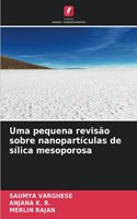 Uma pequena revisão sobre nanopartículas de sílica mesoporosa