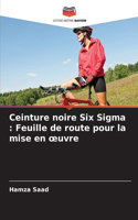 Ceinture noire Six Sigma