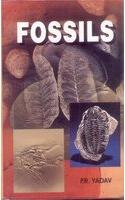 Fossils