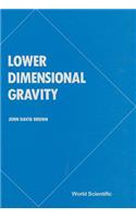Lower Dimensional Gravity