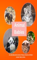 Animal Babies