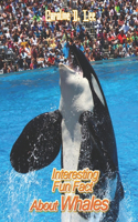 Interesting Fun Fact About Whales