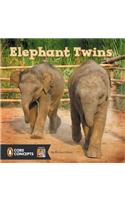 Elephant Twins