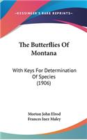 The Butterflies Of Montana