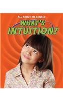 What's Intuition?