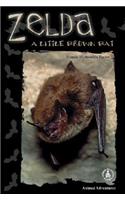 Zelda: A Little Brown Bat(Cover-To-Cover Books)