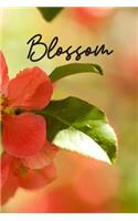 Blossom