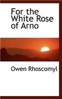 For the White Rose of Arno