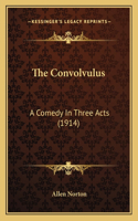 The Convolvulus
