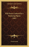 Wild Flowers Gathered By A Wandering Pilgrim (1862)