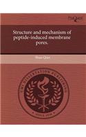 Structure and Mechanism of Peptide-Induced Membrane Pores