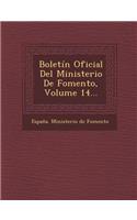 Boletin Oficial del Ministerio de Fomento, Volume 14...