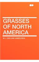 Grasses of North America