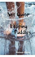 Not Quite Leaping Puddles