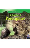 A Prickle of Porcupines