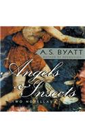 Angels & Insects